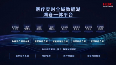 新华三医疗实时全域数据湖:破解未来智慧医院数据治理难题 新华三医疗实时全域数据湖:破解未来智慧医院数据治理难题
